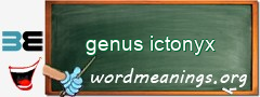 WordMeaning blackboard for genus ictonyx